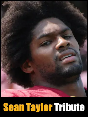 sean taylor tribute button