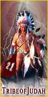 tribe